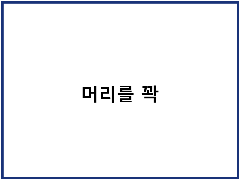 머리를 꽉