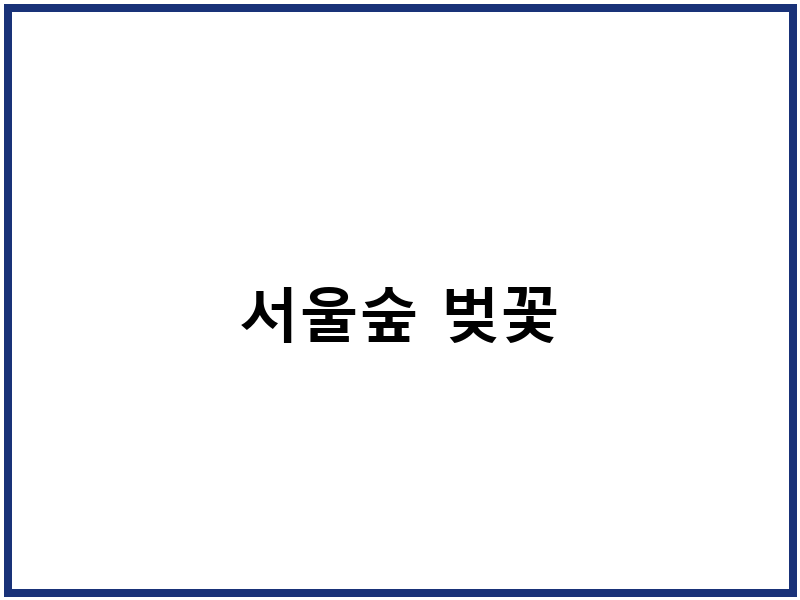 서울숲 벚꽃