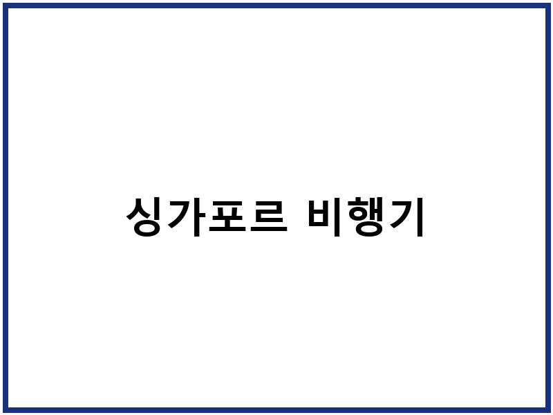 싱가포르 비행기